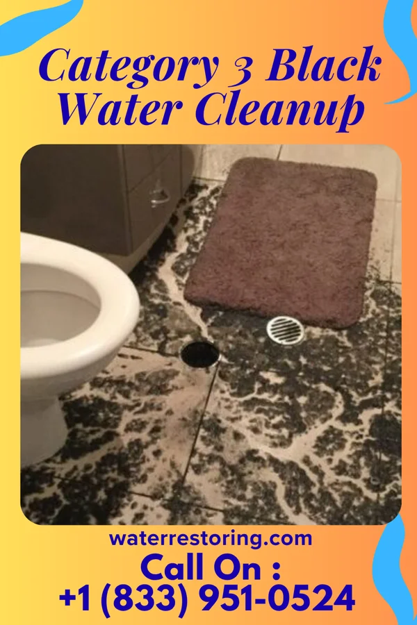 Category 3 Black Water Cleanup in Pleasant Run, OH