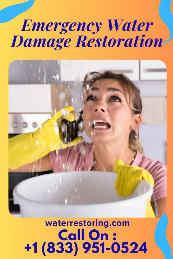 Emergency Water Damage Restoration in Pleasant Run, OH
