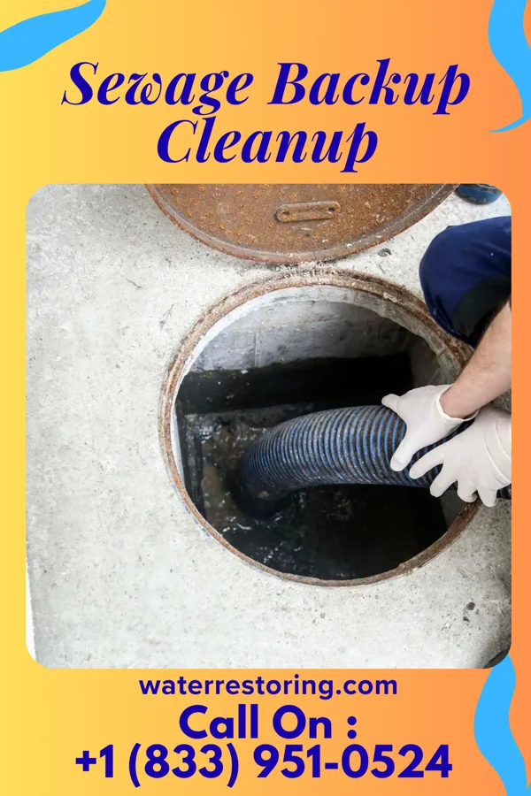 Sewage Backup Cleanup in Pleasant Run, OH